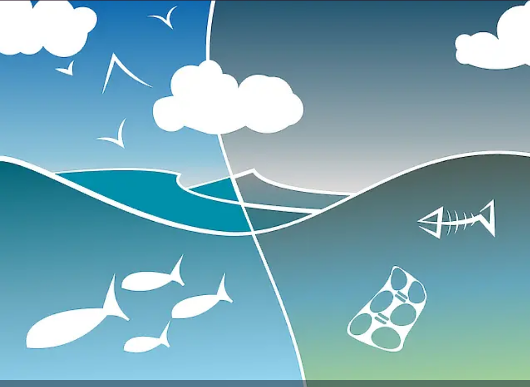 ПРЕДСТОЯЩА ПРЕСКОНФЕРЕНЦИЯ ПО ПРОЕКТ